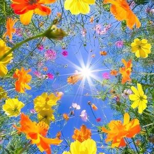 Spring is in the air…